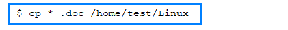 Copy command in shell scripts| DiskInternals