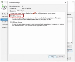 DiskInternals RAID Recovery™ Select VSS Full Backup and click Ok - 2