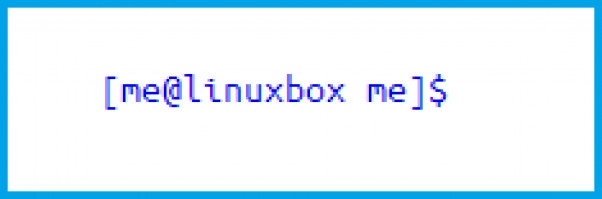 Linux Shell What You Need To Know At First Diskinternals