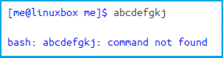 Linux Shell What You Need To Know At First Diskinternals