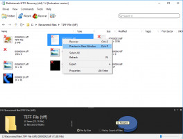 DiskInternals NTFS Recovery DiskInternals NTFS Recovery - step 1 - you can preview any file content