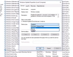 DiskInternals Partition Recovery™ From the pop-up window, click on the drop-down arrow next to the Startup Type section. Select Automatic from the drop-down list