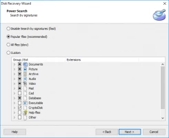 Partition Recovery Wizard - select the file type.