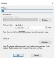 DiskInternals RAID Recovery™ Select No restriction under Maximum size in the Settings page