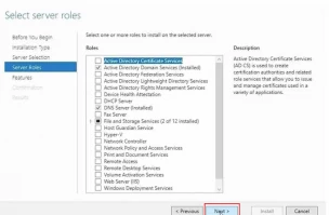 DiskInternals RAID Recovery™ Pick the roles to install