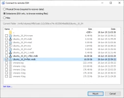 DiskInternals VMFS Recovery™ DiskInternals VMFS Recovery - ubunty flat vmdk disk
