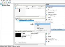 DiskInternals VMFS Recovery™ How to revert a VM to a previous state using checkpoints